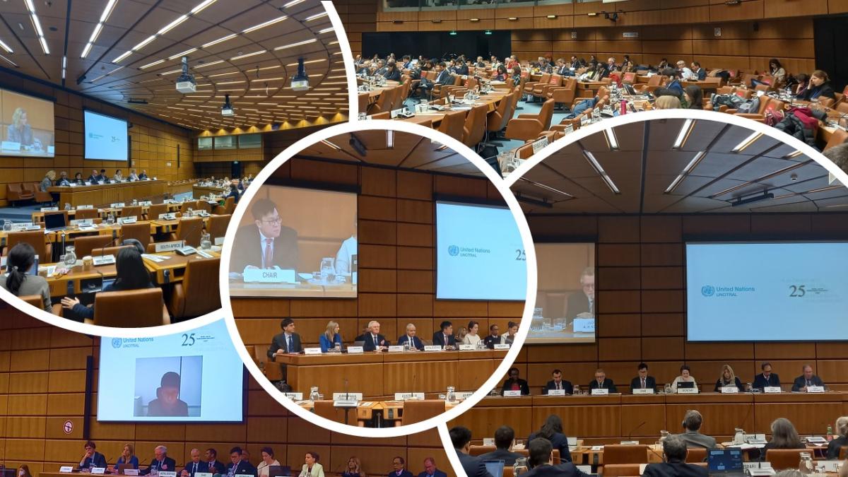 25º Aniversario de la Ley Modelo de la CNUDMI sobre la Insolvencia  Transfronteriza | Comisión de las Naciones Unidas para el Derecho Mercantil  Internacional