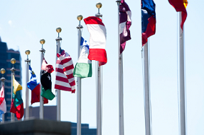 "Array of national flags"