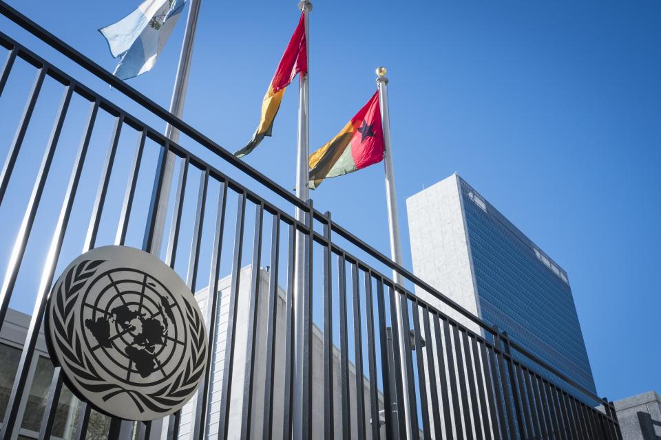 View of flags in front of the United Nations Headquarters in New York